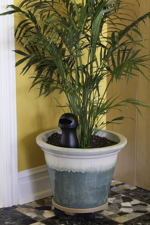 Share your comments with us!