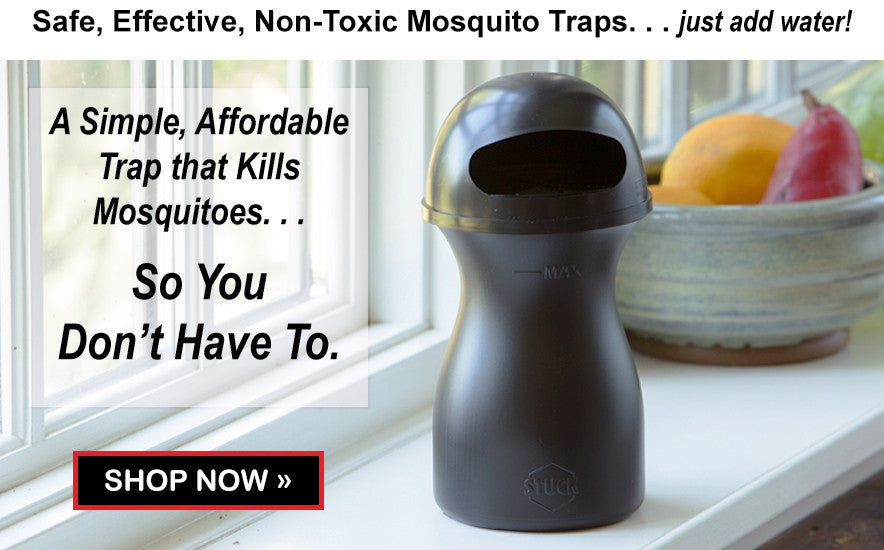 Shop Indoor Mosquito Trap