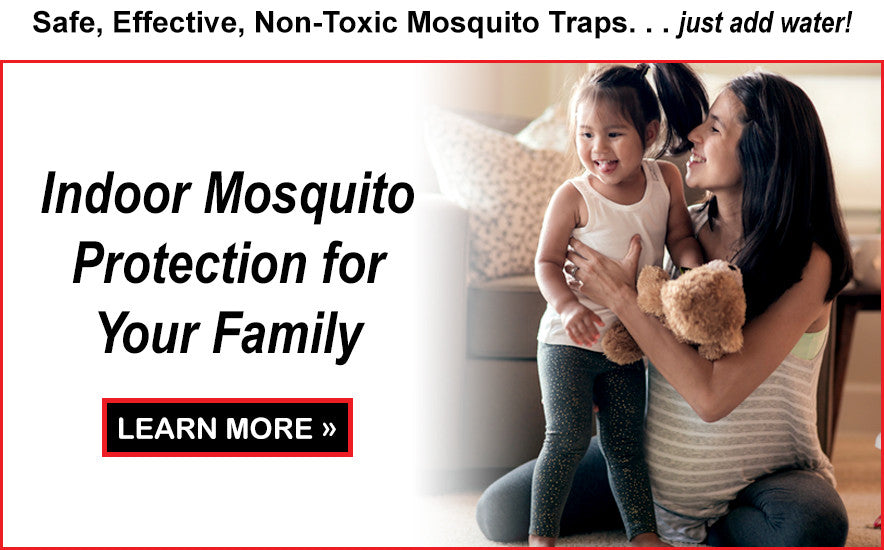 Learn More About Indoor Mosquito Protection